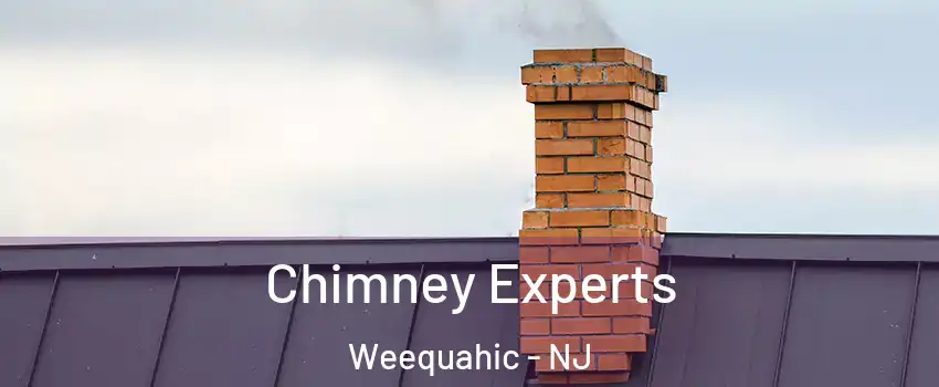 Chimney Experts Weequahic - NJ