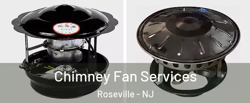 Chimney Fan Services Roseville - NJ
