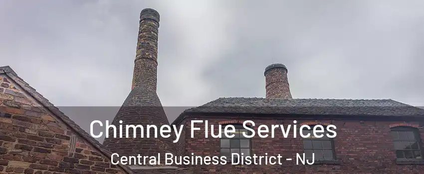 Chimney Flue Services Central Business District - NJ