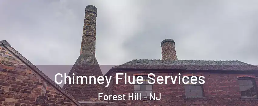Chimney Flue Services Forest Hill - NJ