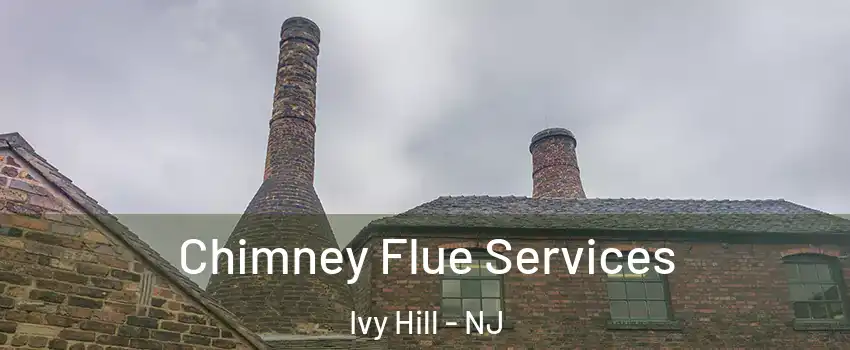 Chimney Flue Services Ivy Hill - NJ