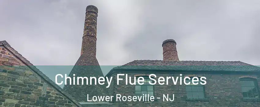 Chimney Flue Services Lower Roseville - NJ