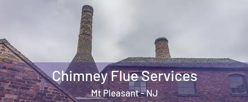 Chimney Flue Services Mt Pleasant - NJ
