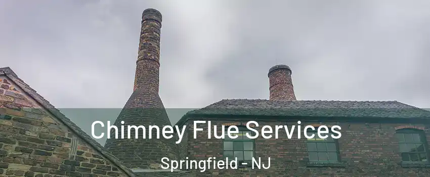 Chimney Flue Services Springfield - NJ