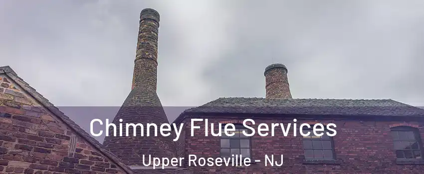 Chimney Flue Services Upper Roseville - NJ