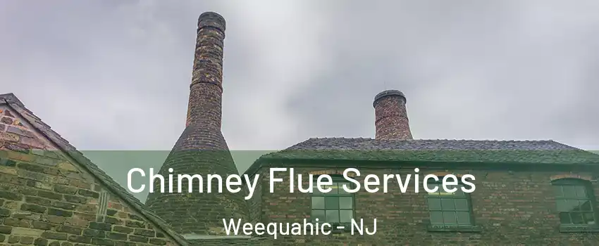 Chimney Flue Services Weequahic - NJ