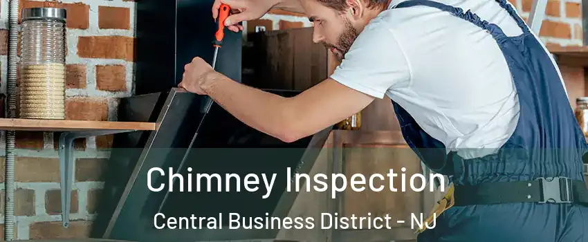 Chimney Inspection Central Business District - NJ