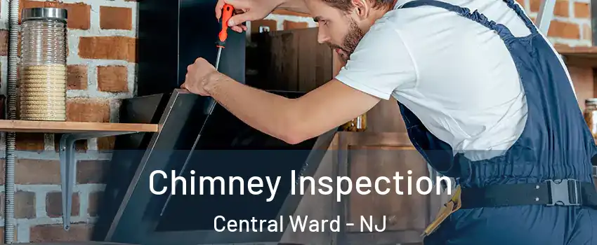 Chimney Inspection Central Ward - NJ