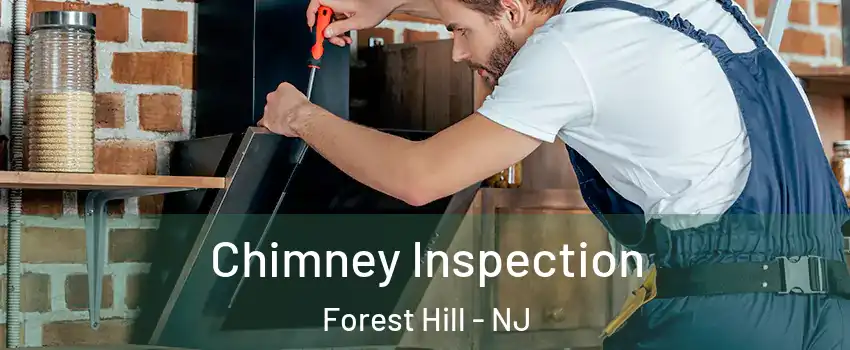Chimney Inspection Forest Hill - NJ