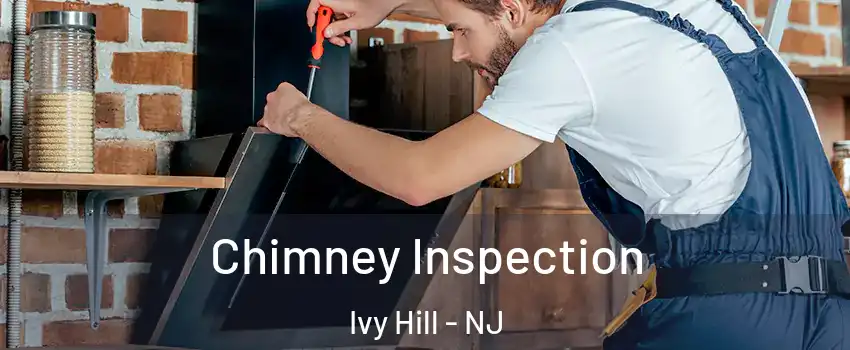 Chimney Inspection Ivy Hill - NJ