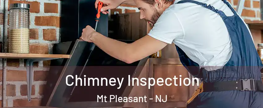 Chimney Inspection Mt Pleasant - NJ