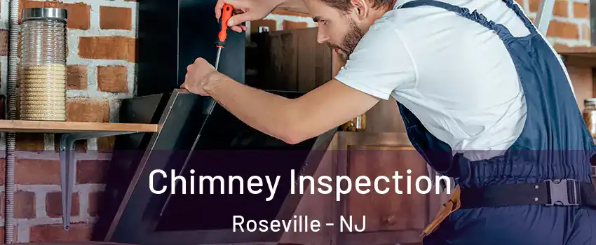 Chimney Inspection Roseville - NJ