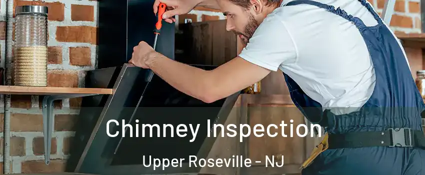 Chimney Inspection Upper Roseville - NJ