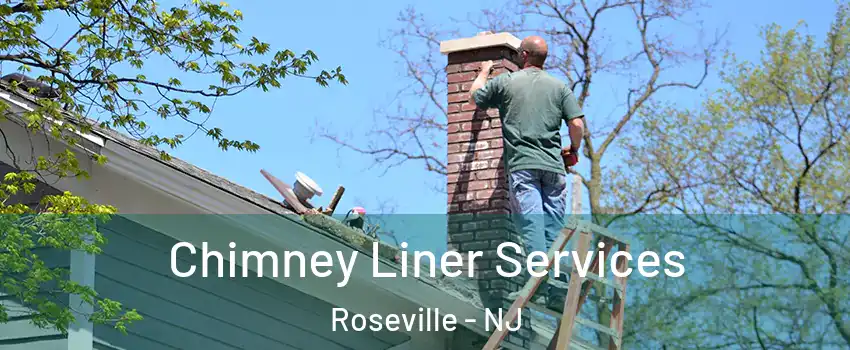 Chimney Liner Services Roseville - NJ