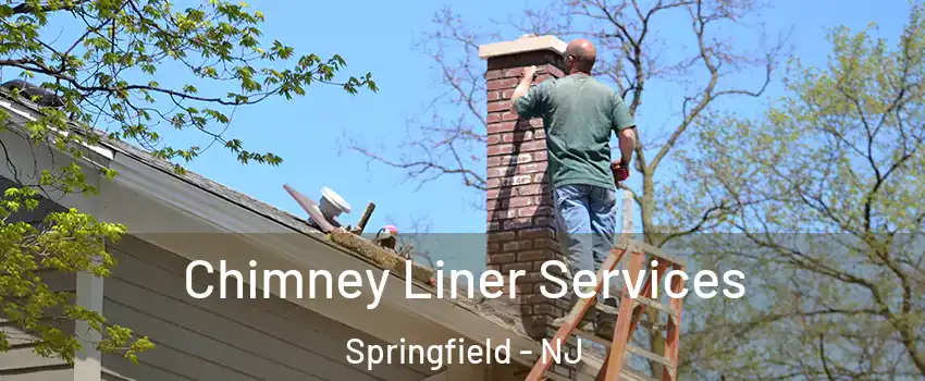 Chimney Liner Services Springfield - NJ