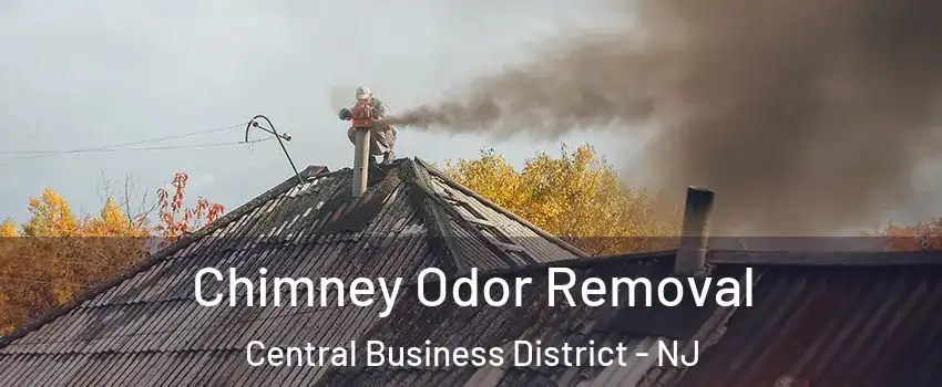 Chimney Odor Removal Central Business District - NJ