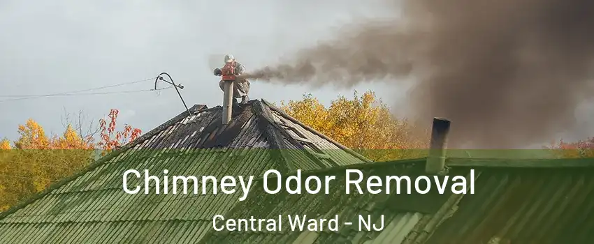 Chimney Odor Removal Central Ward - NJ