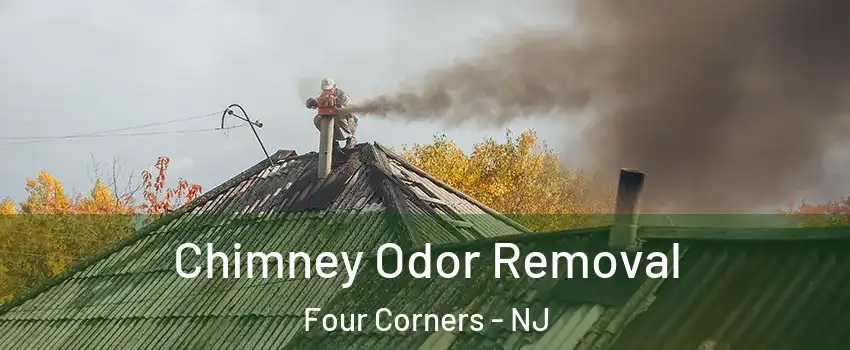 Chimney Odor Removal Four Corners - NJ