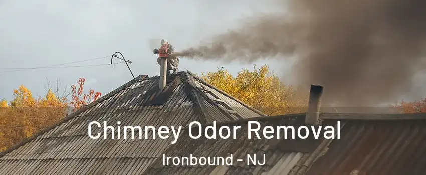 Chimney Odor Removal Ironbound - NJ