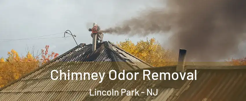 Chimney Odor Removal Lincoln Park - NJ