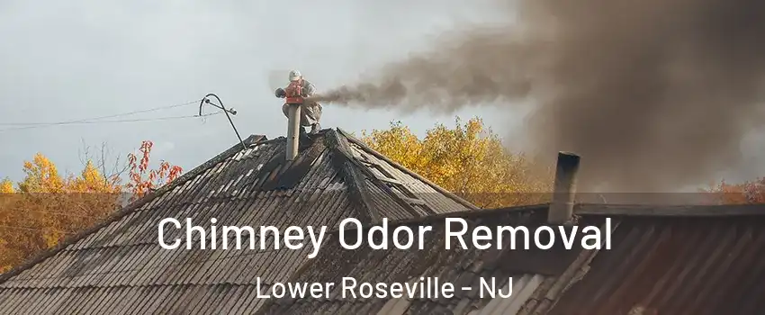 Chimney Odor Removal Lower Roseville - NJ