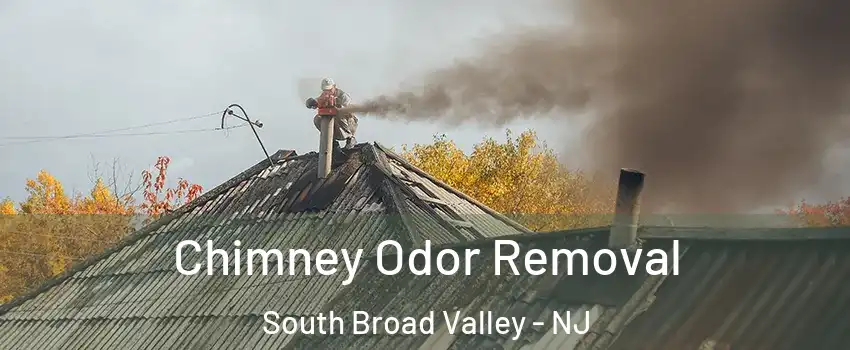 Chimney Odor Removal South Broad Valley - NJ