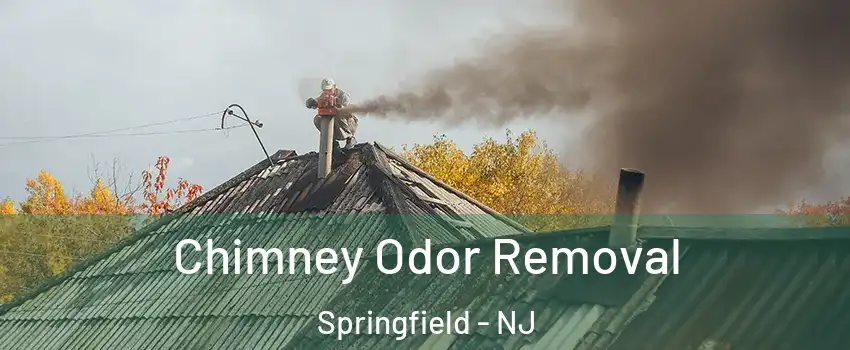 Chimney Odor Removal Springfield - NJ