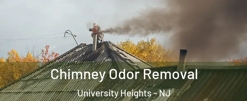 Chimney Odor Removal University Heights - NJ