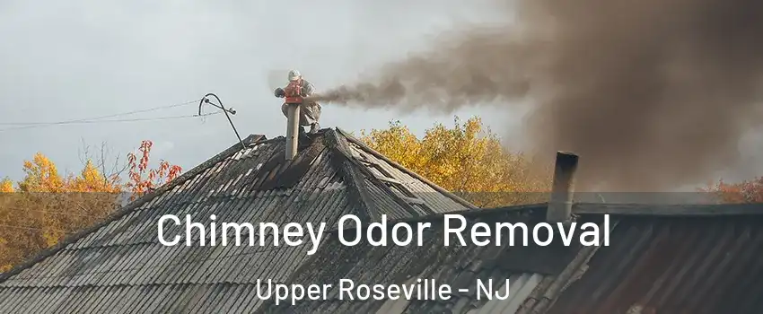 Chimney Odor Removal Upper Roseville - NJ