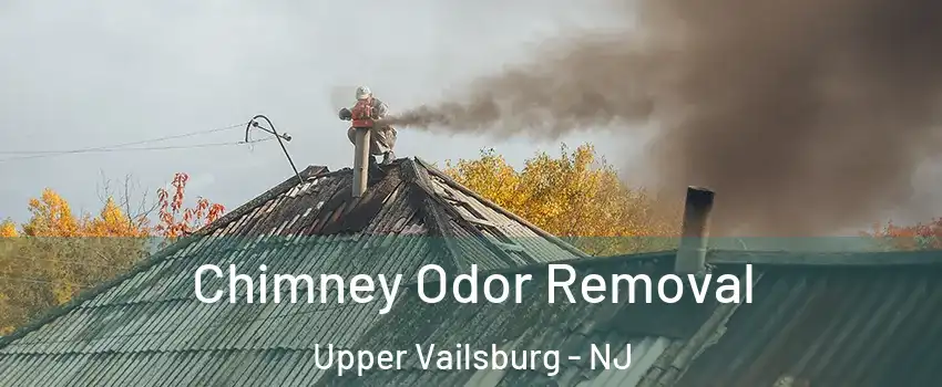 Chimney Odor Removal Upper Vailsburg - NJ