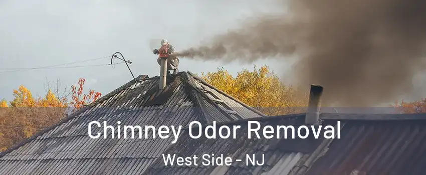Chimney Odor Removal West Side - NJ