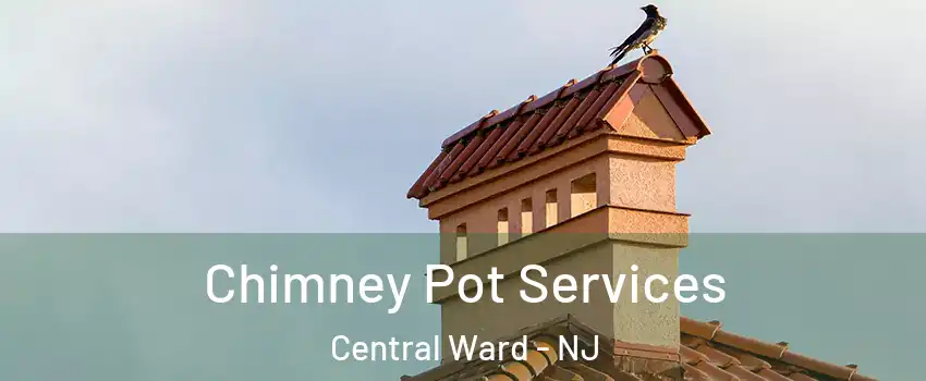 Chimney Pot Services Central Ward - NJ