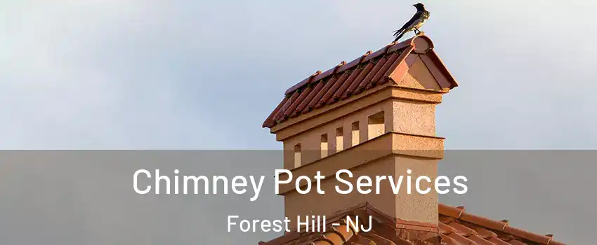 Chimney Pot Services Forest Hill - NJ