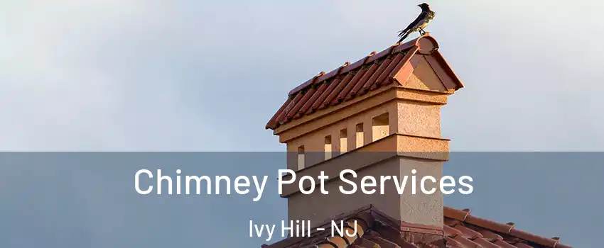 Chimney Pot Services Ivy Hill - NJ