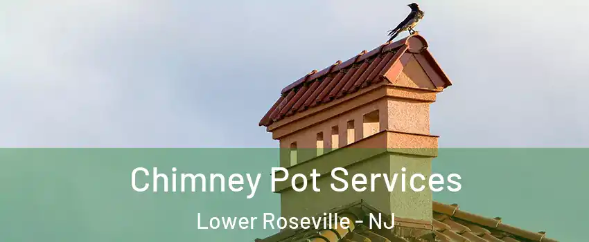 Chimney Pot Services Lower Roseville - NJ