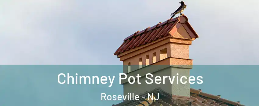 Chimney Pot Services Roseville - NJ