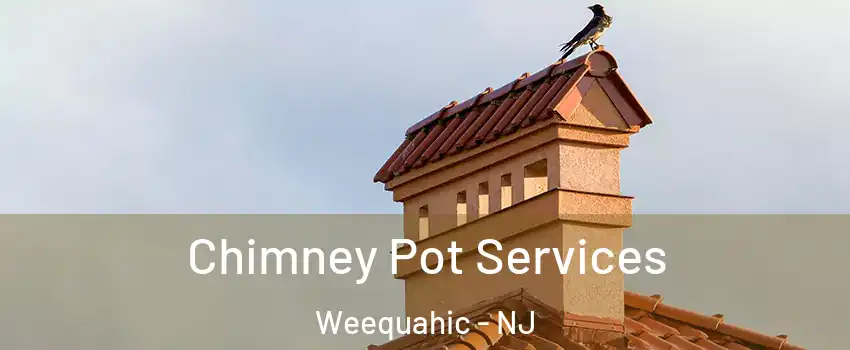 Chimney Pot Services Weequahic - NJ