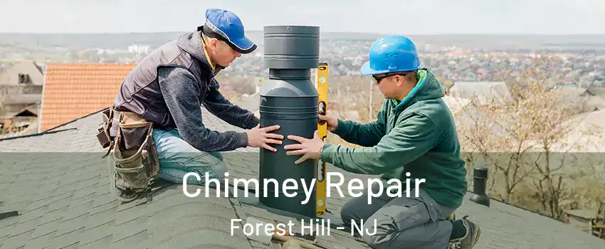 Chimney Repair Forest Hill - NJ