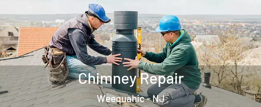 Chimney Repair Weequahic - NJ