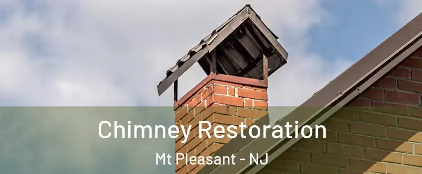 Chimney Restoration Mt Pleasant - NJ