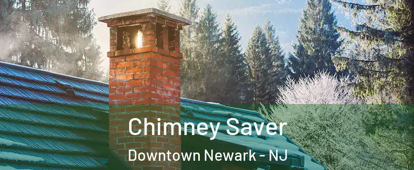 Chimney Saver Downtown Newark - NJ