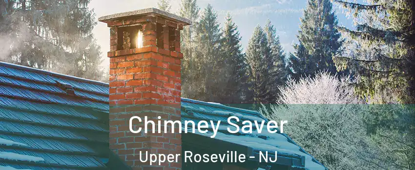 Chimney Saver Upper Roseville - NJ