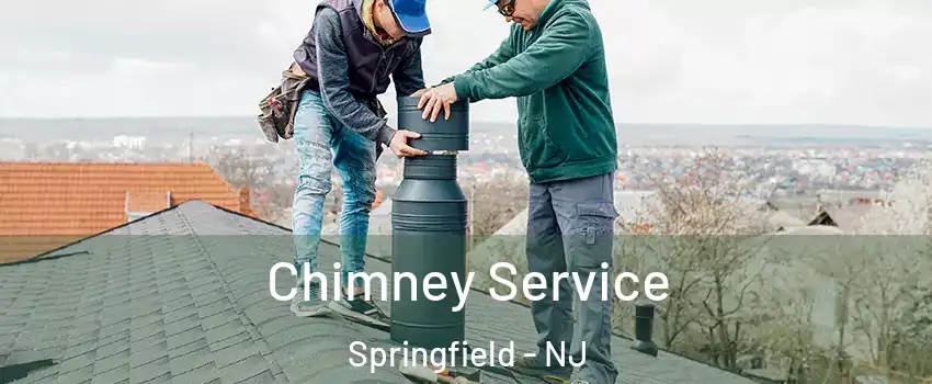 Chimney Service Springfield - NJ