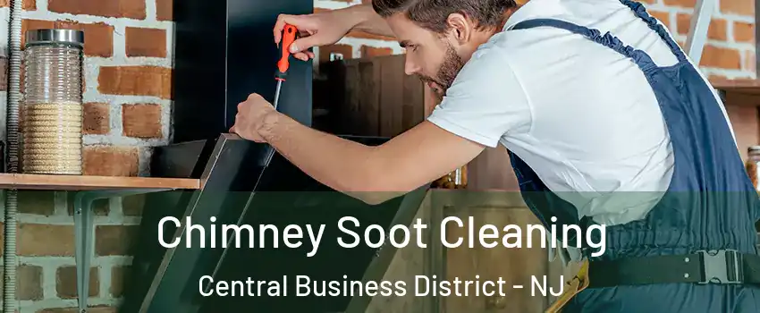 Chimney Soot Cleaning Central Business District - NJ