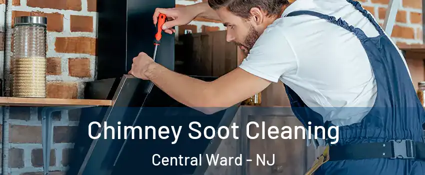Chimney Soot Cleaning Central Ward - NJ