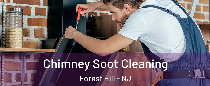 Chimney Soot Cleaning Forest Hill - NJ