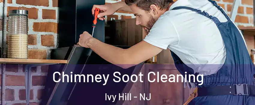 Chimney Soot Cleaning Ivy Hill - NJ