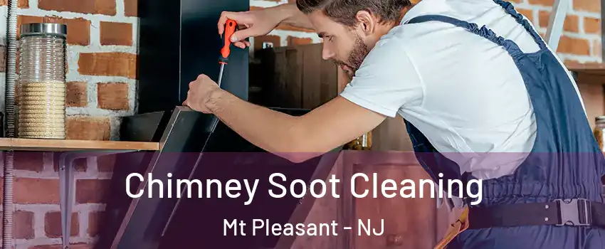 Chimney Soot Cleaning Mt Pleasant - NJ