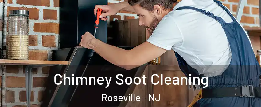 Chimney Soot Cleaning Roseville - NJ