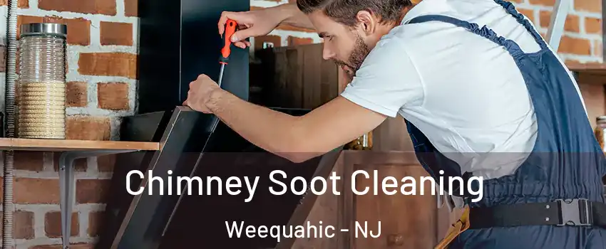 Chimney Soot Cleaning Weequahic - NJ
